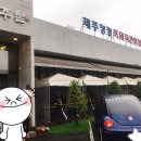 제주돈상 이미지