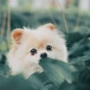 마음동물의료센터 이미지