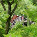 자연속에 영농조합법인 이미지