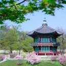 우리도시조경 이미지