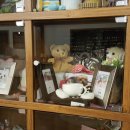 사랑애견 이미지