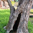 홍교 주차장 이미지