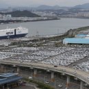 August Motor Daum카페