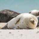 유성온천역 3번출구 이미지