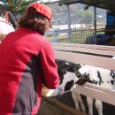 전주옥정호 이미지