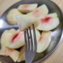 청도청과 이미지