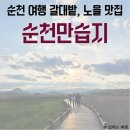 자란경로당 | 전남 순천 여행 순천만 습지 + 노을 일몰 (feat. 짱둥어, 칠게)