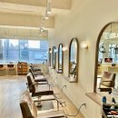 머스트브이 이미지