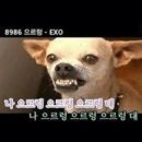 99 티스토리