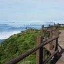 지리산의행복한하루 - 서초구 강남대로 221 | 지리산의행복한하루