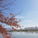 은빛여울목 이미지