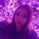 네일바이손