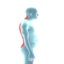 쥬베니스필라테스