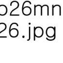 반려동물의상제작 이미지