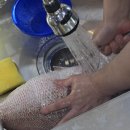 정복학원