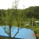 신안농장 이미지