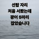 태안호스릴-53 | 모항항 광어다운샷 출조 후기, 선탑 자리에서 광어 5마리 낚다