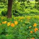 제일부동산중개 이미지