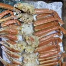 구룡포 대게본가 | 포항 구룡포 대게본가 | 대게코스 내돈내산 후기