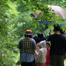 수도산 자연휴양림 이미지