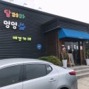 달려라멍멍 네이버블로그