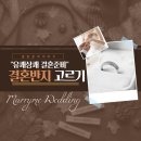 은진컴퍼니 이미지