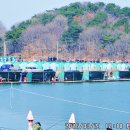 대부해솔길 1코스 이미지