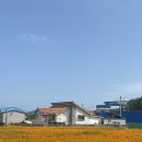 국수보건지소 이미지