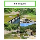 허니스테이 이미지