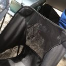 장사해수욕장(솔밭) 이미지