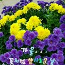 장승백이전통시장2 이미지