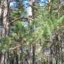 솔터농장 이미지