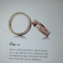 원바이(1BIE) | 청담 웨딩밴드 백작바이피렌체 임페리얼 계약 후기! 20%지인코드: 김한슬9659 (5만원 페이백)