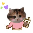 퐁당아쿠아카페