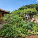 설구산방 이미지