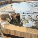 서광리-16 이미지