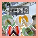 모찌의숲 | 모찌의숲 모찌 왕창 먹은 후기 구리 과일모찌 내돈내산