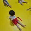 용인대윙스태권도장 이미지