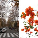 가우디&구엘 이미지