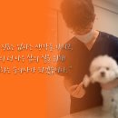 동계동물병원 이미지