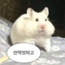 이삭토스트(사동점) | 6월 일상 :: 그날 위로하러 와준 건 슬픔이 때문이었어