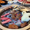 선원동공영주차장 | [여수 맛집] 입안에서 녹는 명품한우와 신선한 육회, 무선지구 '고박사 화로구이' 방문 후기!