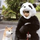 생활드림 네이버블로그