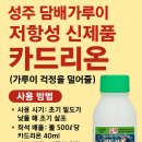 풍년농약사 | 성주 참외 농가에 반가운 소식! 카드리온 등장!