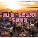 골든브릿지 티스토리