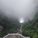 (주)엠제이여행사 이미지