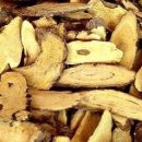 담아온건강 이미지