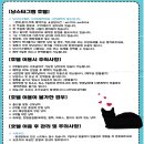 부산고양이미용&호텔 냥스타그램 이미지