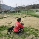 죽빵훈련소 이미지