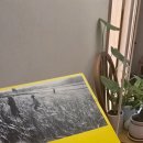 리반요가 네이버블로그